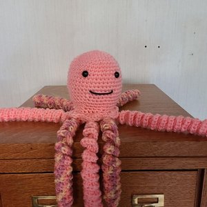 Tester photo of octopus lovey 